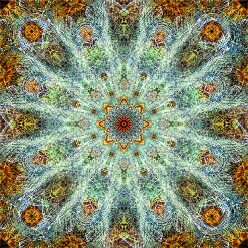 Olena Bilyk: Mandala