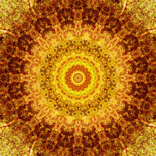Olena Bilyk: Mandala
