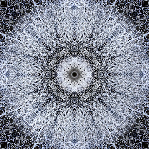 Olena Bilyk: Mandala