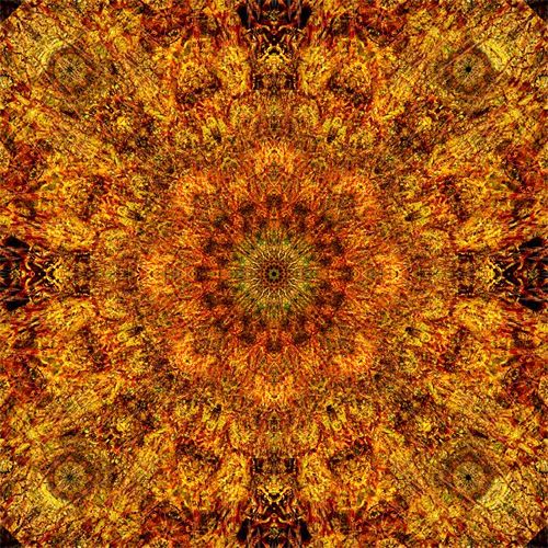 Olena Bilyk: Mandala