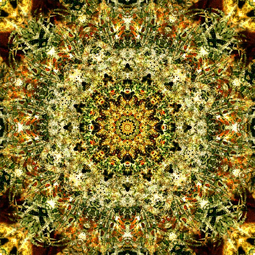 Olena Bilyk: Mandala