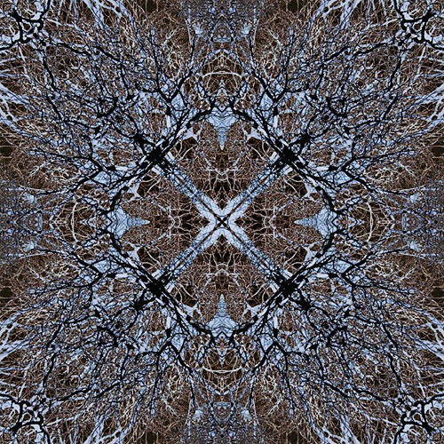 Olena Bilyk: Mandala