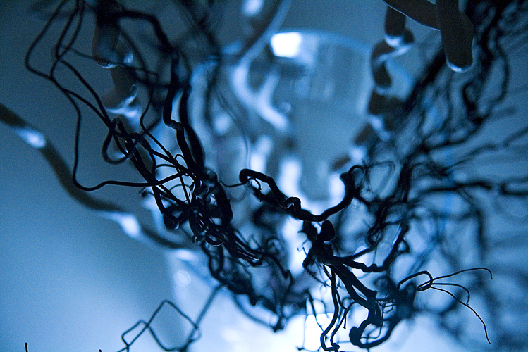 Olena Bilyk: Branches