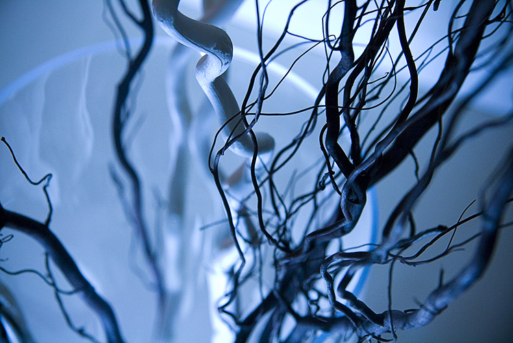 Olena Bilyk: Branches