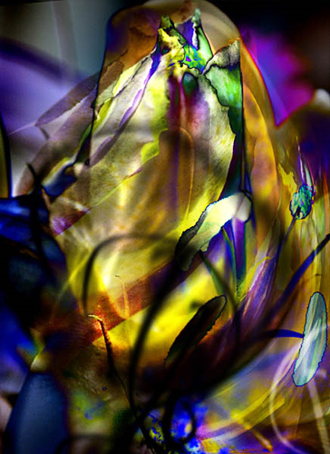 Olena Bilyk: Flower. Abstract.